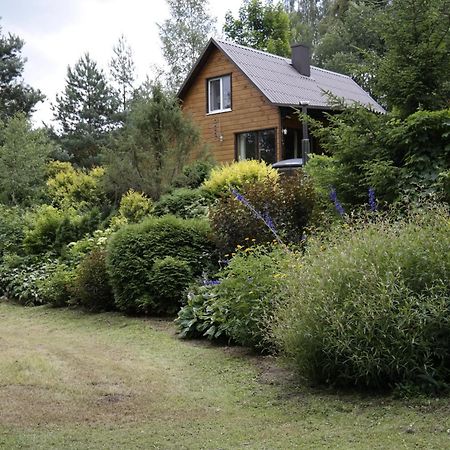 Villa Latava à Anykščiai Extérieur photo